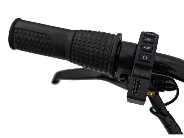 Chopper Warrior laste mootorratas 24 V – pilt 10