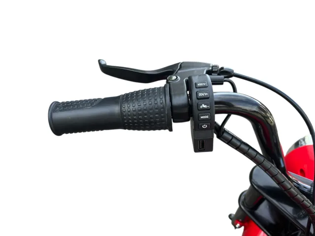 Chopper Warrior laste mootorratas 24 V – pilt 10