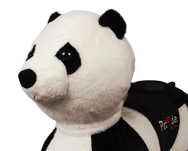PetRide Panda elektriline sõidumänguasi – pilt 6