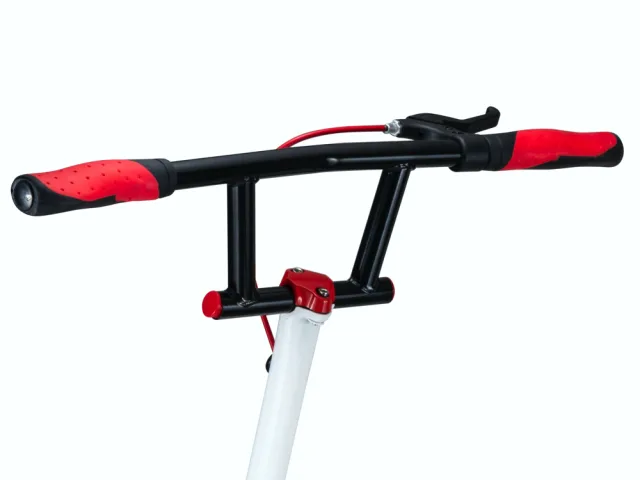 ROLLZONE Wiggler tõukeratas – pilt 6