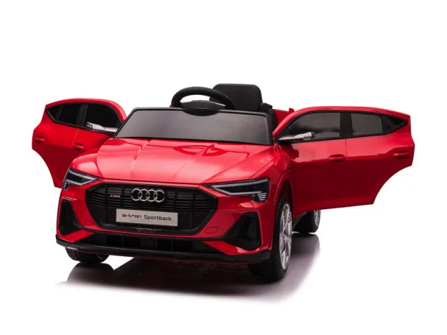 Audi e-tron elektriauto 12 V – pilt 5