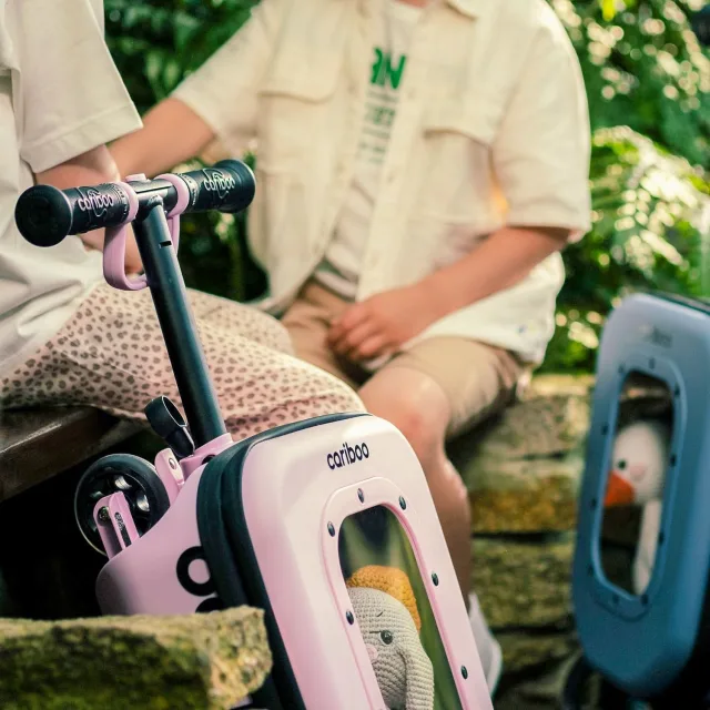 Cariboo iTravel 2-in-1 kohvriga tõukeratas – pilt 8